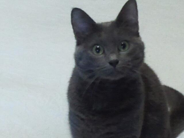 Camilla…miaoooo